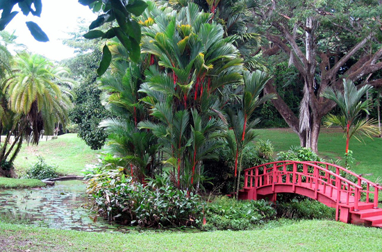 Jardín Monet
