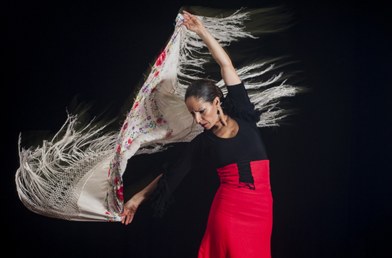 Bailarina de flamenco