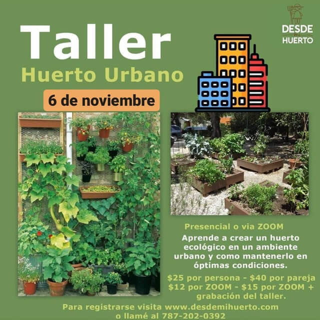 imagen promocional - imagen de huerto urbano