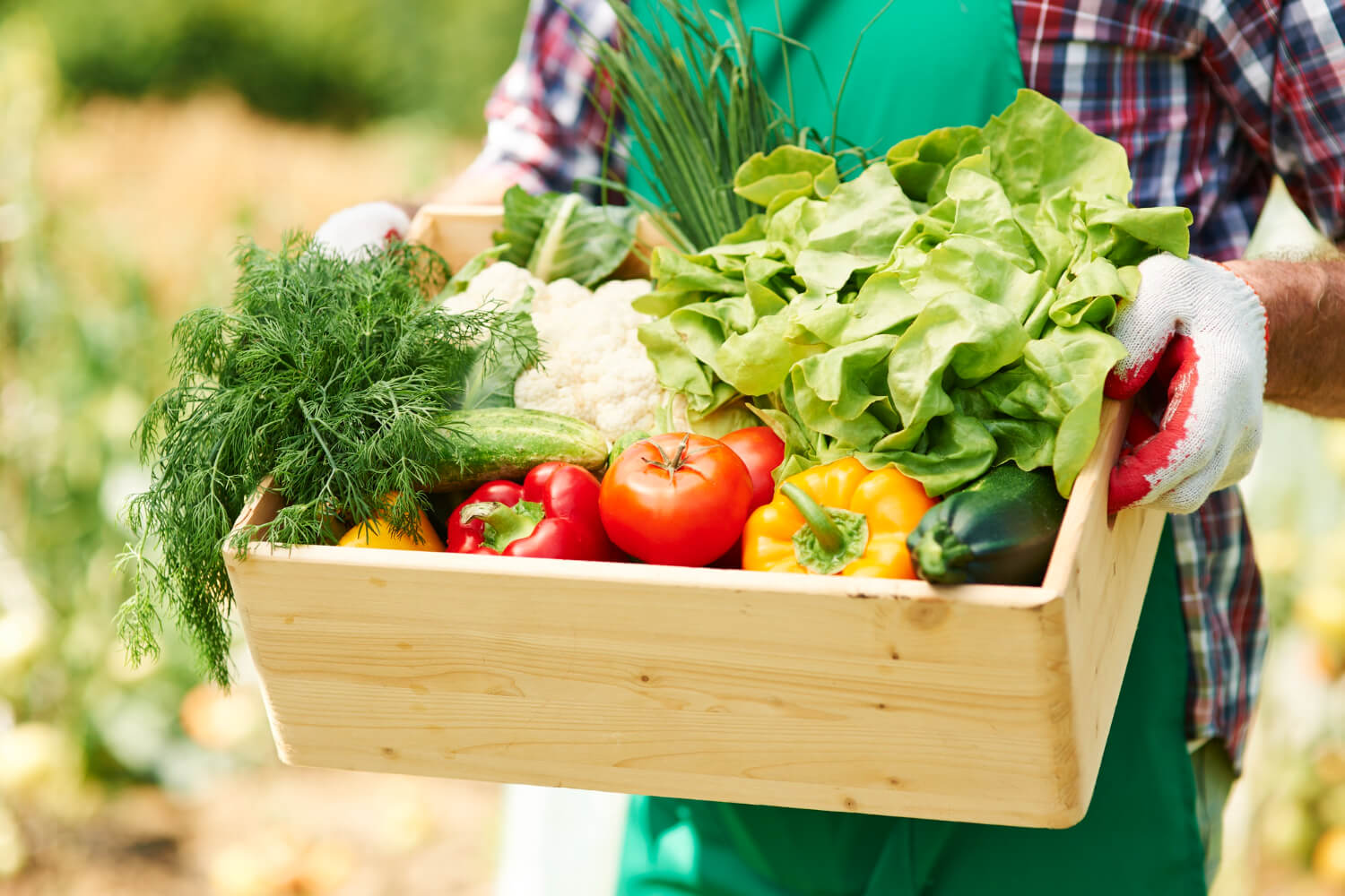 caja de vegetales y verduras